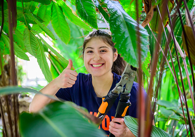 crop sciences student in conservatory giving thumbs up to camera as she trims plants