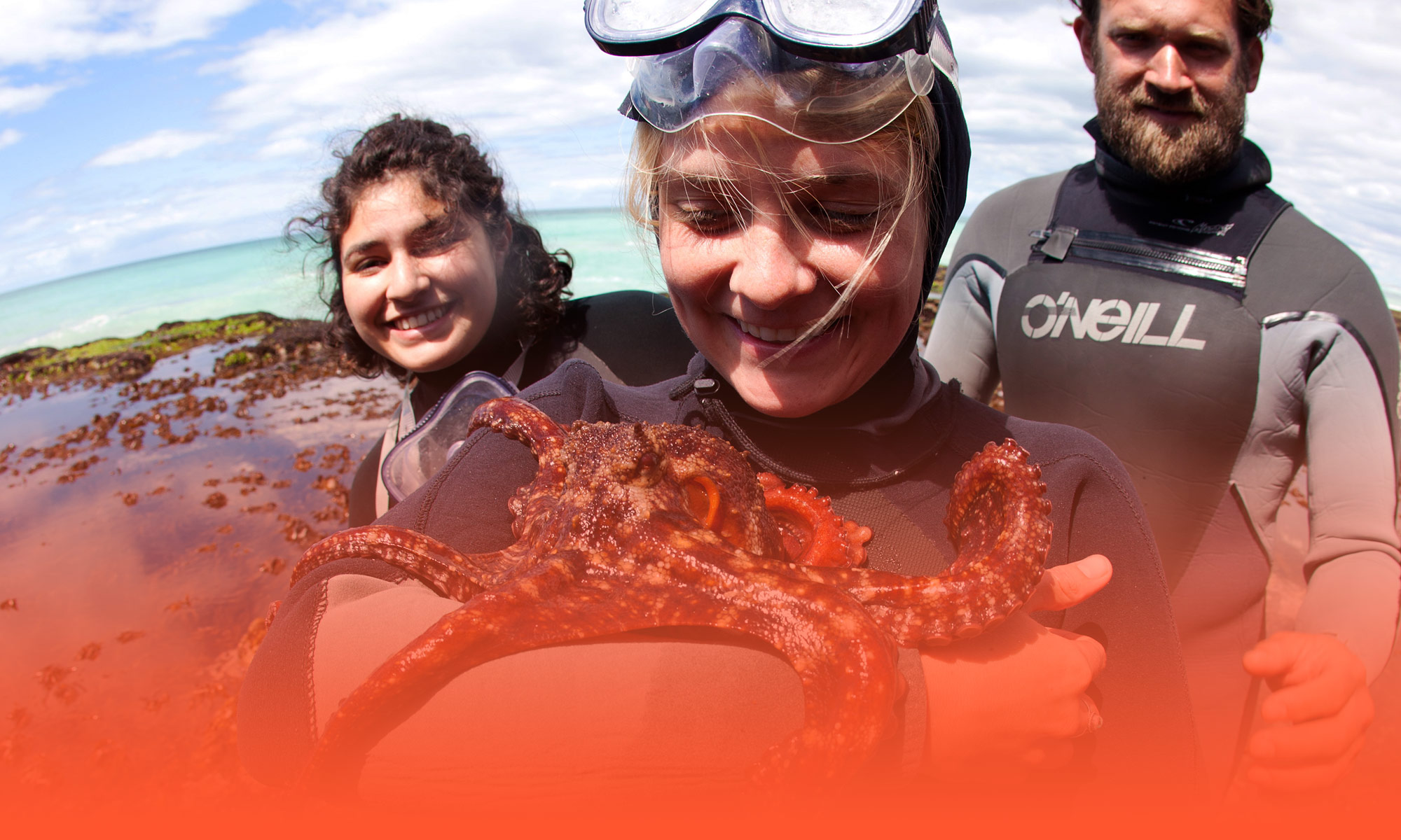 students studying marine life in South Africa