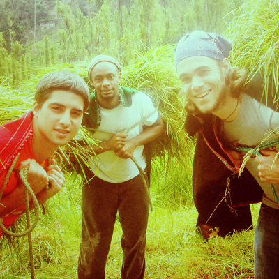 Illinois students carrying brush on their backs in a field in South America