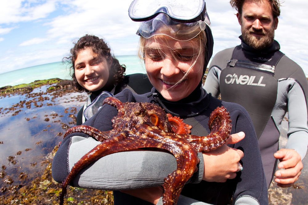student holding an octopus while studying abroad in South Africa
