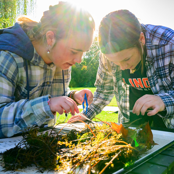 Natural Resources & Environmental Sciences students with the College of Agricultural, Consumer and Environmental Sciences take part in a New Student Field Day doing hands-on learning