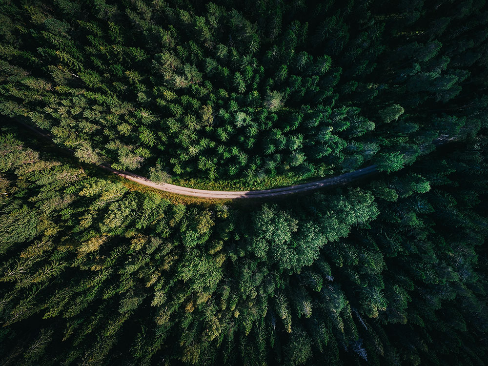 aerial view of a winding road through a thick forest