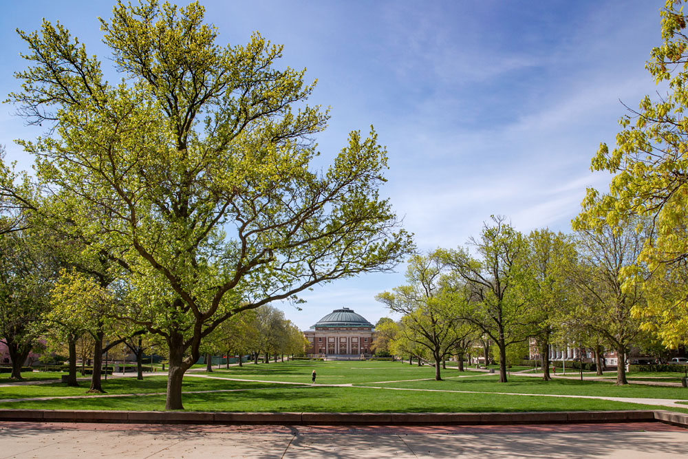 view from the Illini Union down the Quad with Foellinger Auditorium in the distance